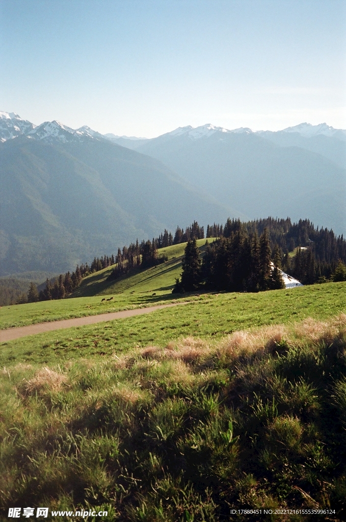 山林