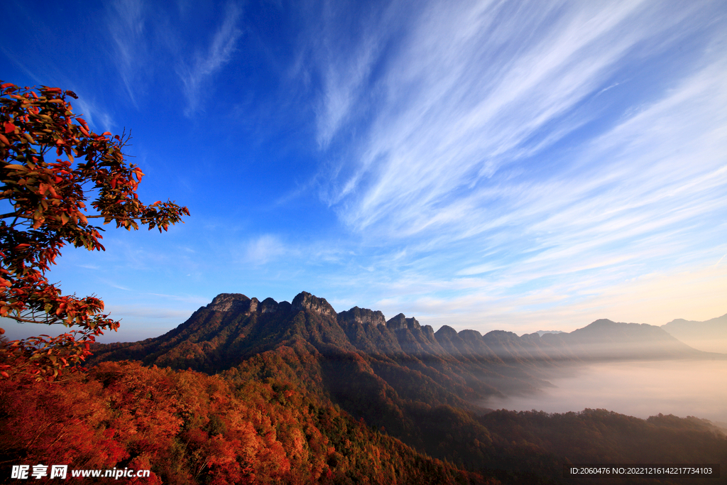 枫叶高山