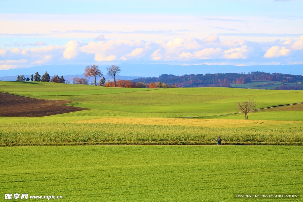 田园风景