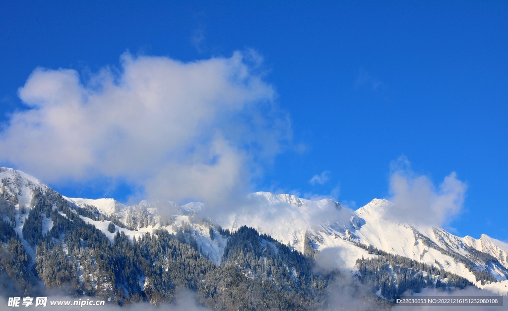 雪域高山