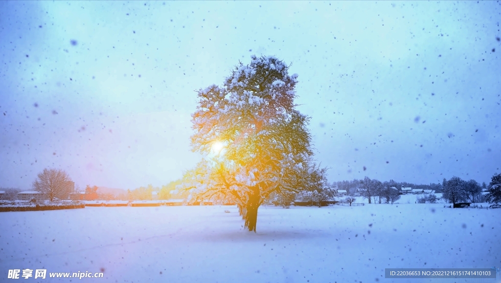 大雪纷飞雪地