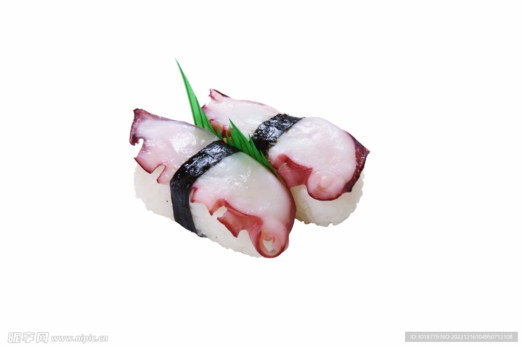 八爪鱼