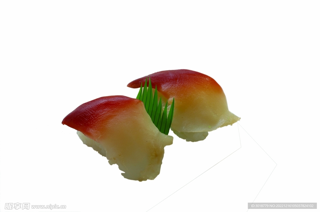 北极贝