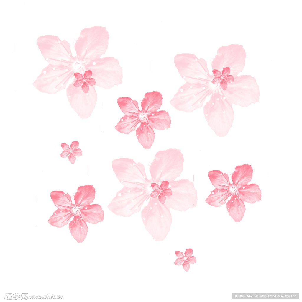 粉色花