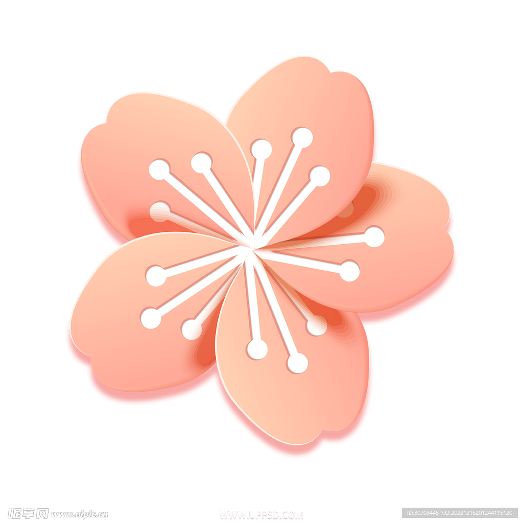 粉红色的花