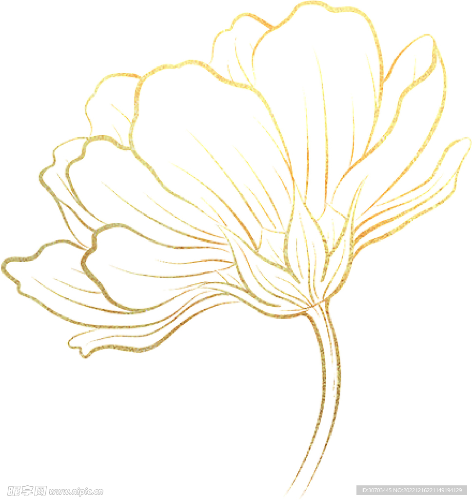 金色花朵线条