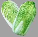 大白菜