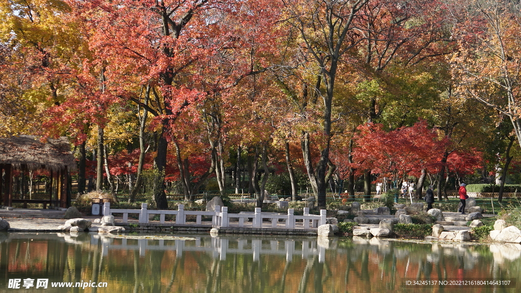 天平山红叶之亲水平台