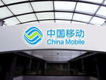 logo样机