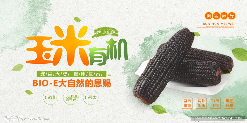 玉米有机蔬菜海报设计