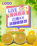 冰糖橙直播海报