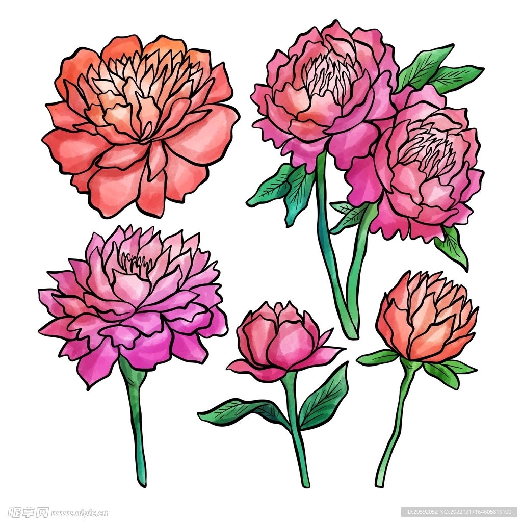花纹 