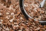 在秋叶的山地自行车
