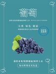 葡萄海报