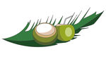 椰子椰汁椰树叶矢量卡通插画