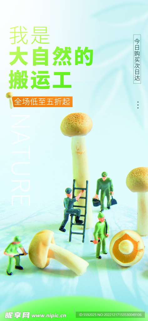 创意风蔬菜外送生鲜促销海报