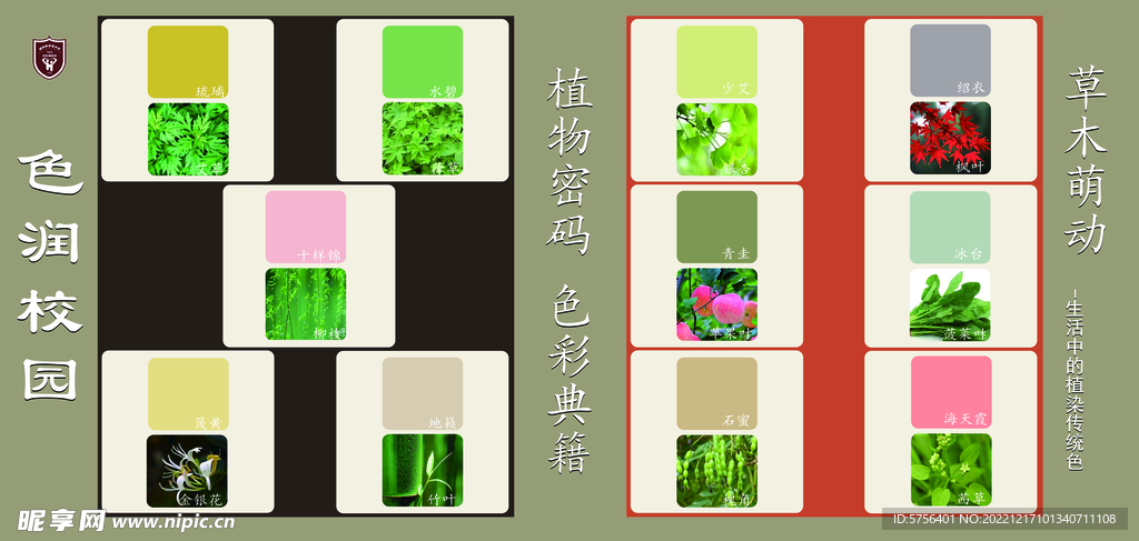 植物密码