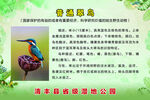 鸟类简介