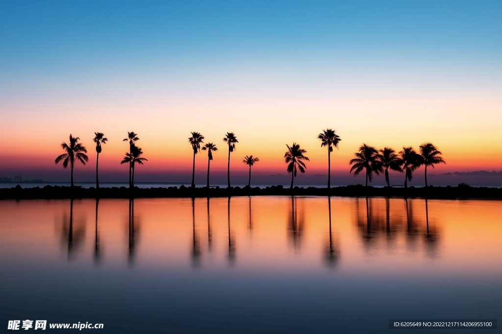 椰树棕榈树夕阳黄昏美景