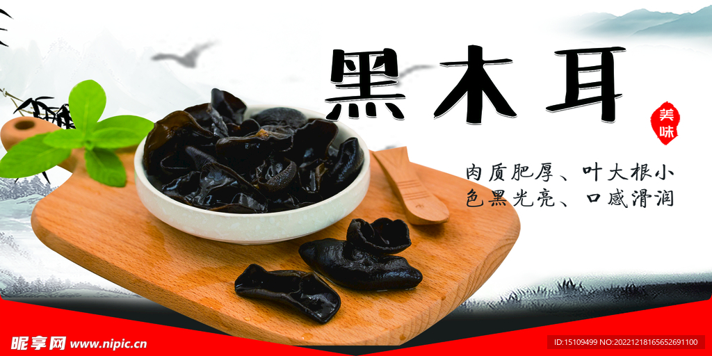 黑木耳