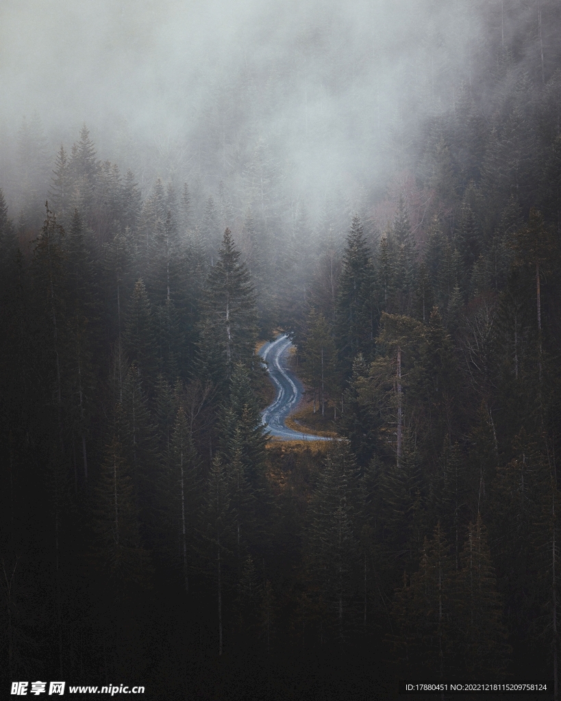 山林