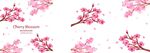 樱花  
