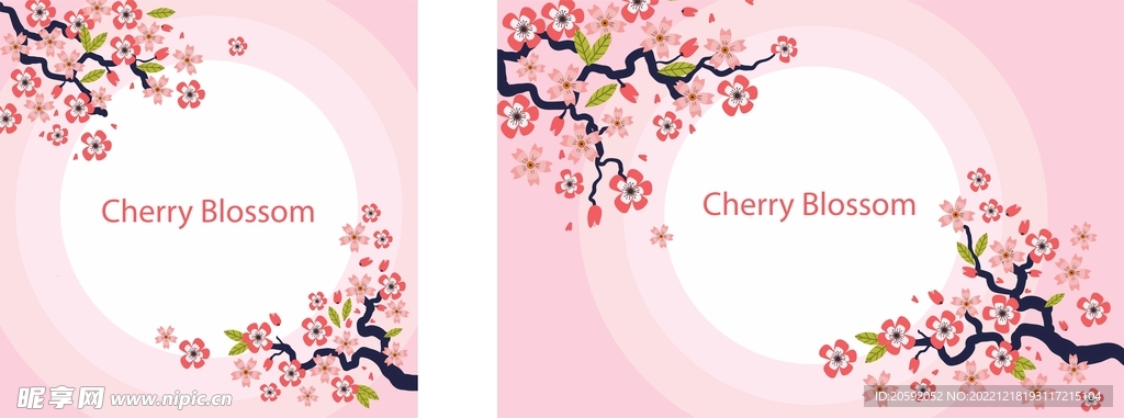 樱花 