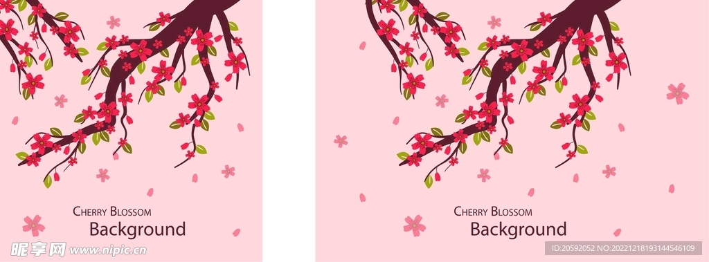 樱花  