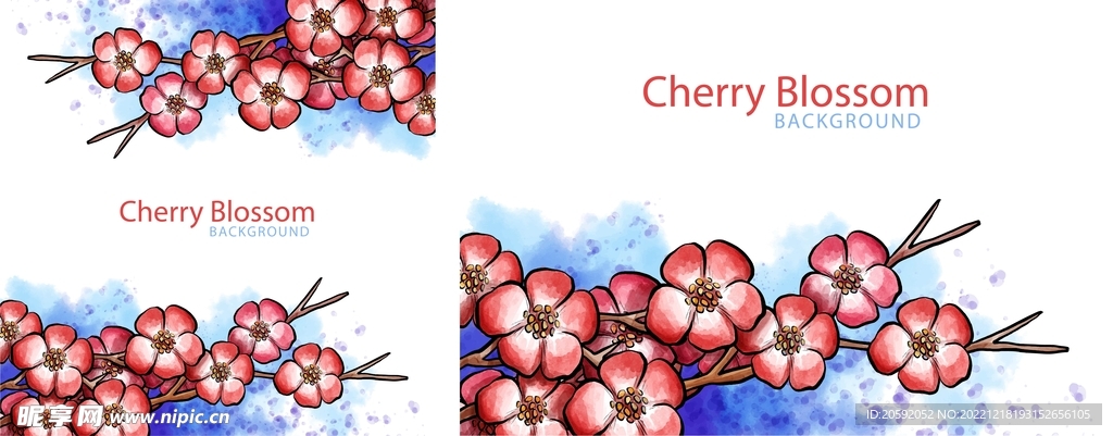 樱花  