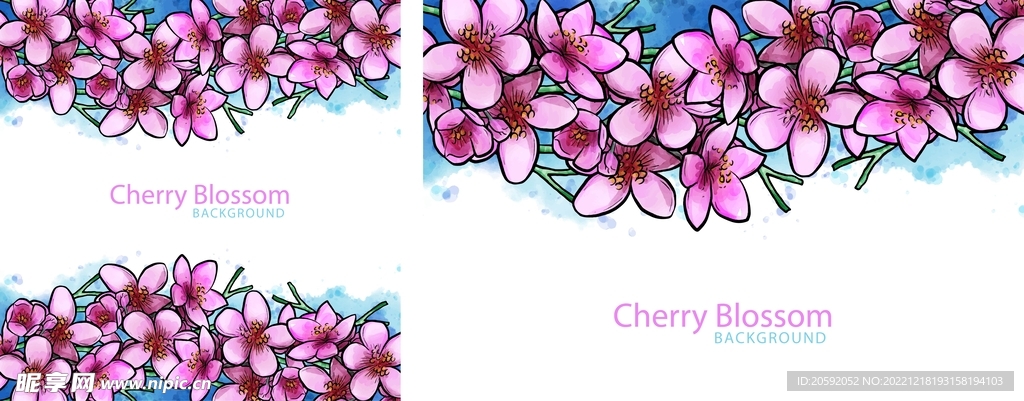 樱花  