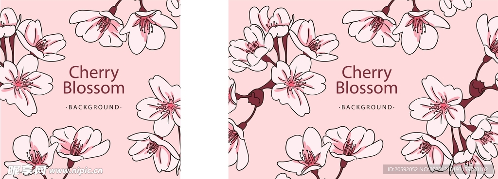 樱花  
