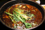 狗肉汤