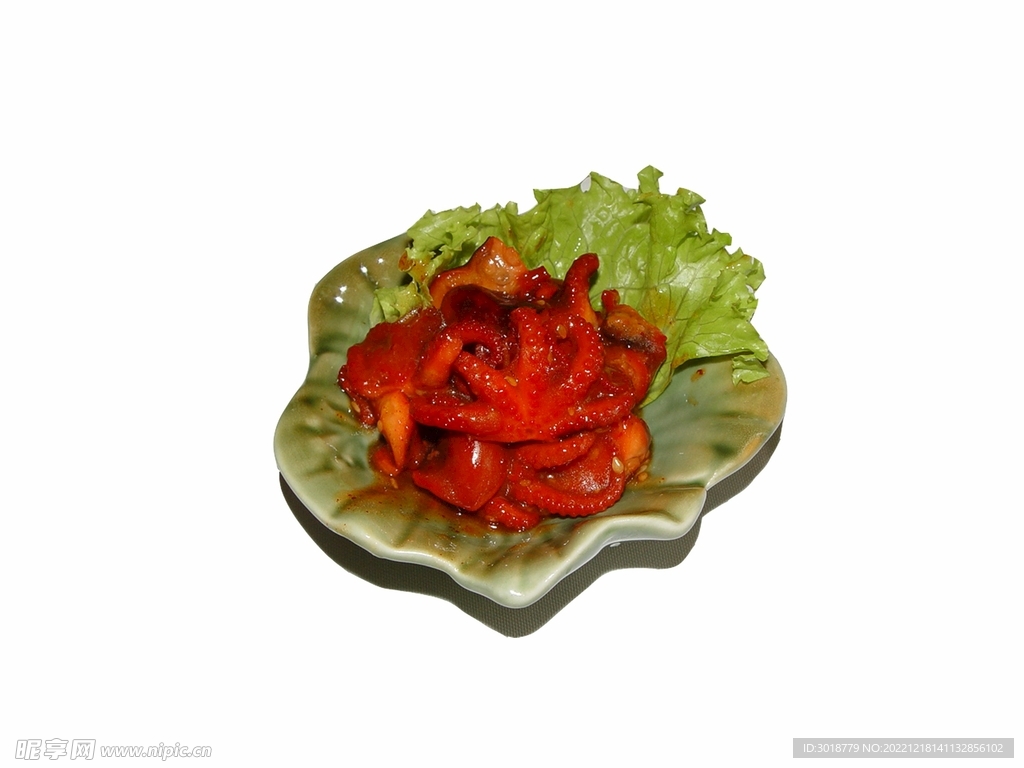 珍珠八爪