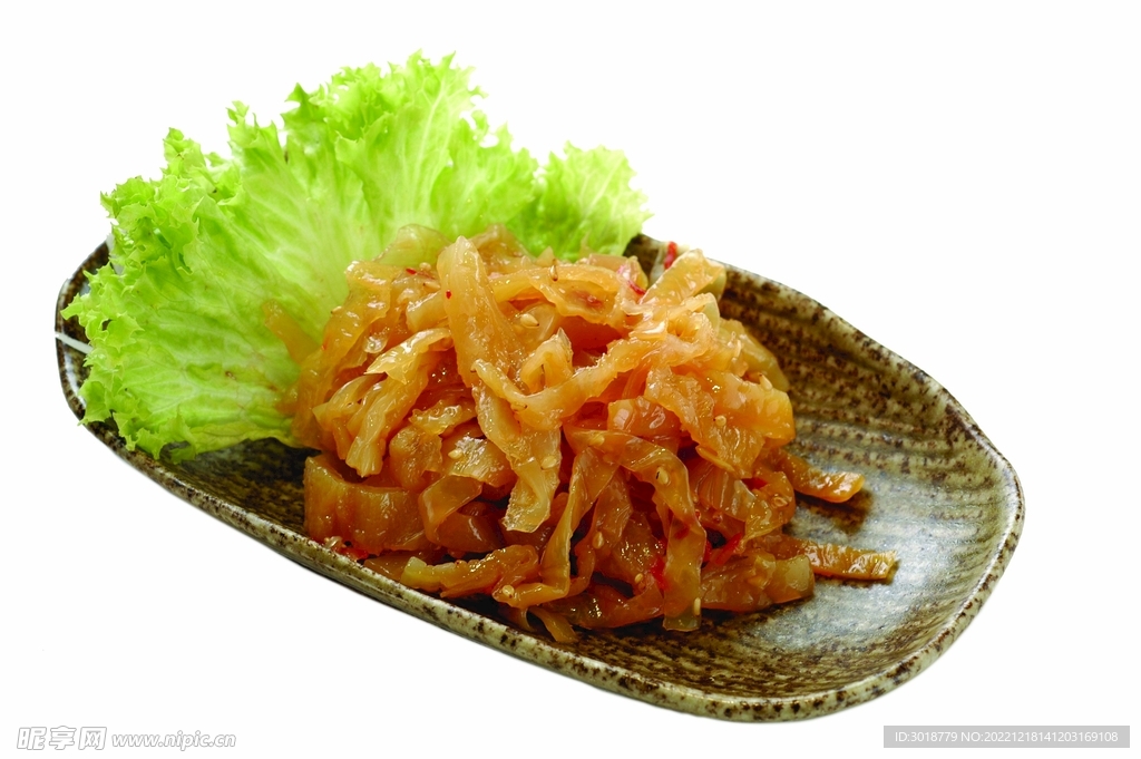 中华海蜇