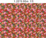 牡丹花布