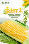  蔬菜海报