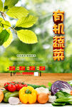  蔬菜海报