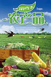  蔬菜海报