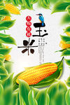  蔬菜海报