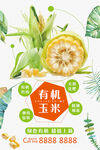  蔬菜海报