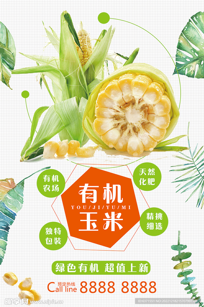  蔬菜海报