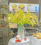 稻谷