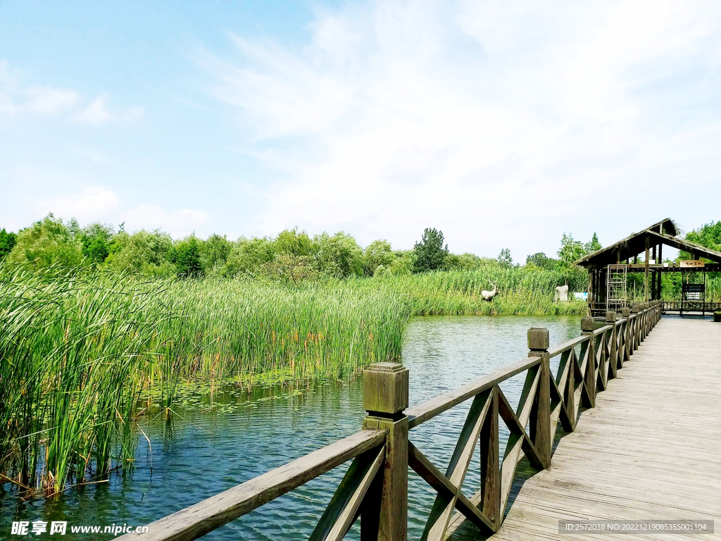 江苏溱湖国家湿地公园