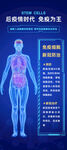 蓝色医疗人体结构图新冠防治海报