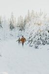 雪地