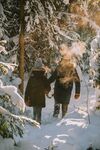 雪地
