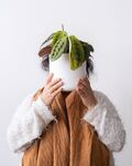 盆栽