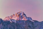 山
