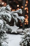 雪地
