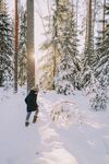 雪地